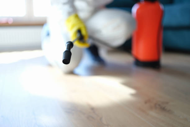  Charlotte, TX Mold Removal Pros